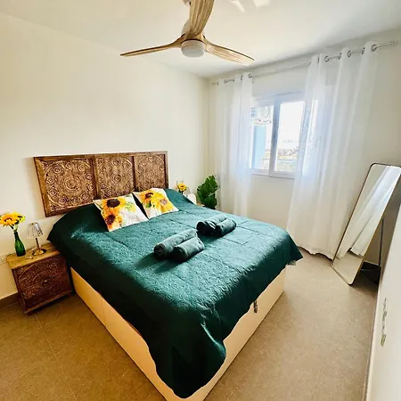 Girasoles De Veneziola