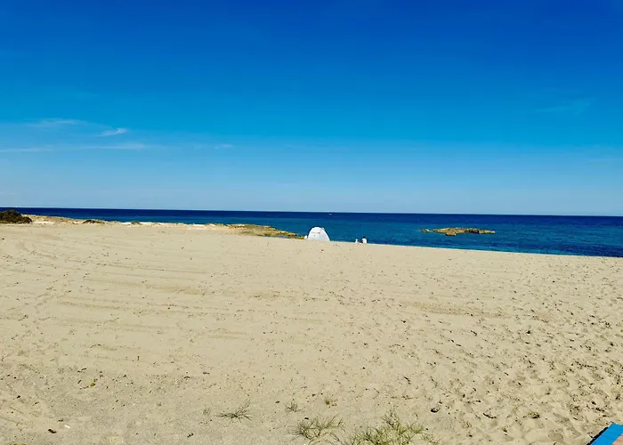 Girasoles De Veneziola La Manga del Mar Menor