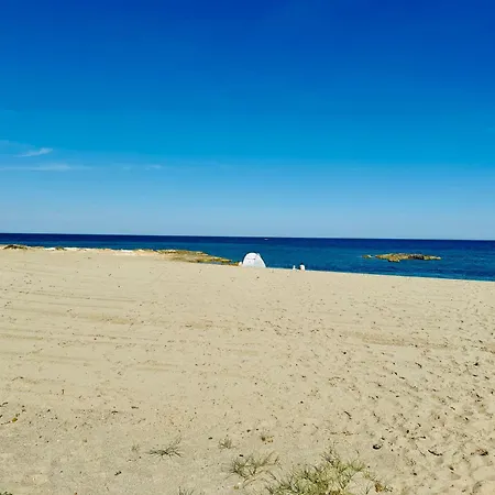Girasoles De Veneziola La Manga del Mar Menor