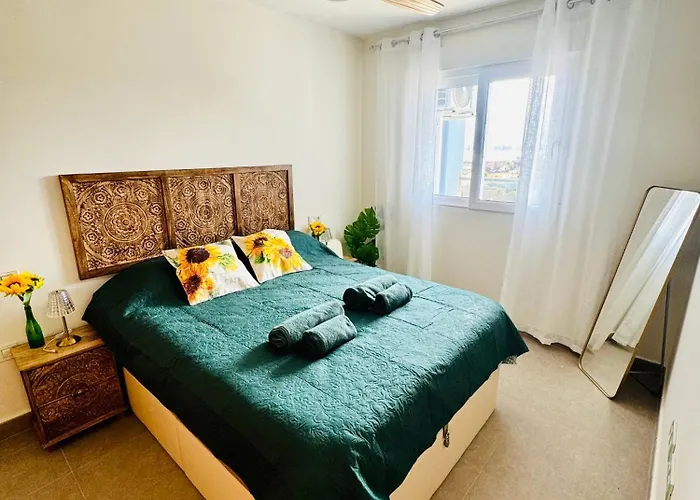 Girasoles De Veneziola